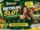 Betrupi Slot Oyunları
